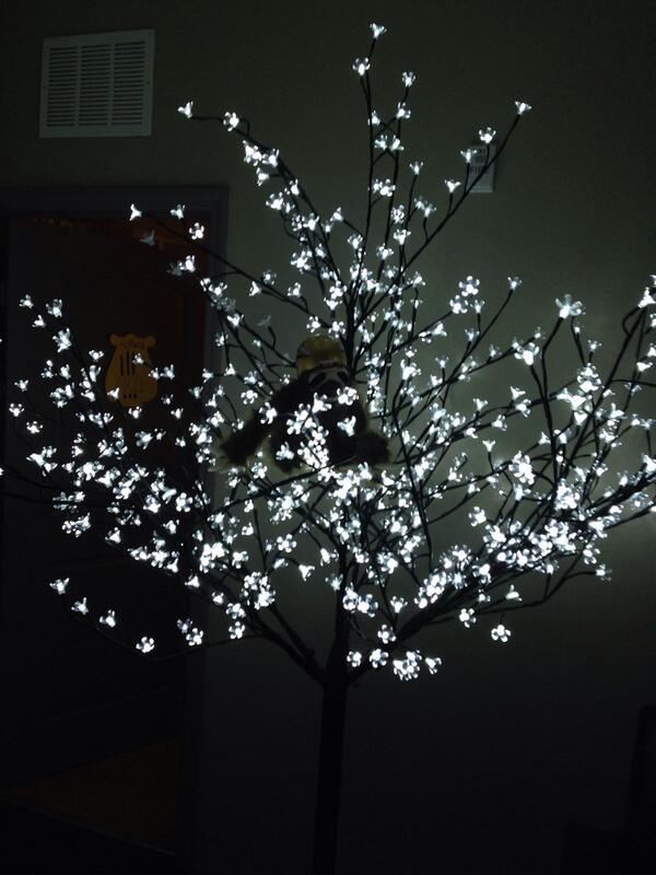 adriana_gb4's tweet image. looks like my little sloth is hangin in our new apartment decor😂❤️ #LEDtree #slothinnn