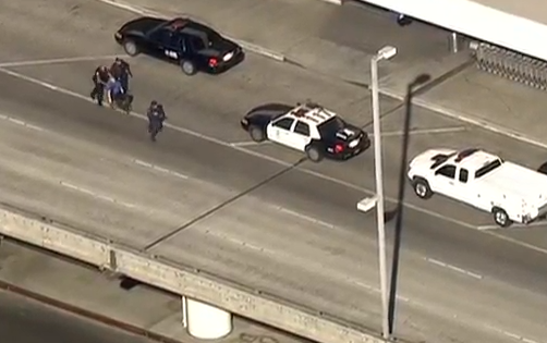 View image on Twitter