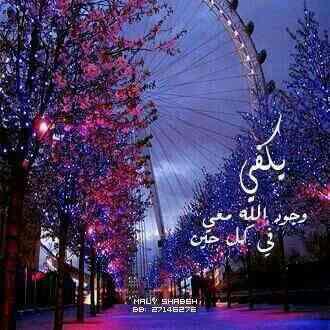 sayedss66617's tweet image. 