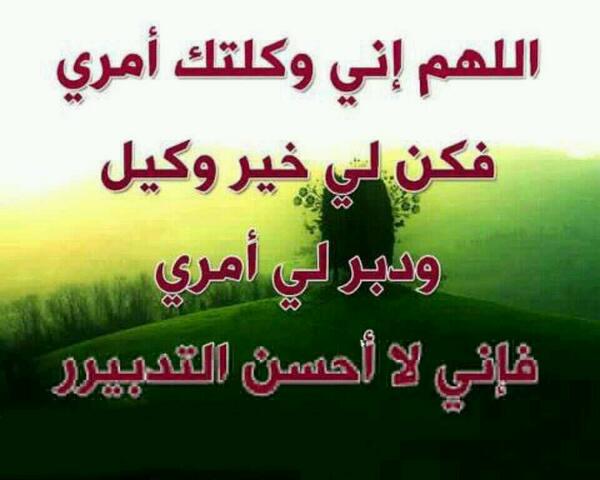 sayedss66617's tweet image. 