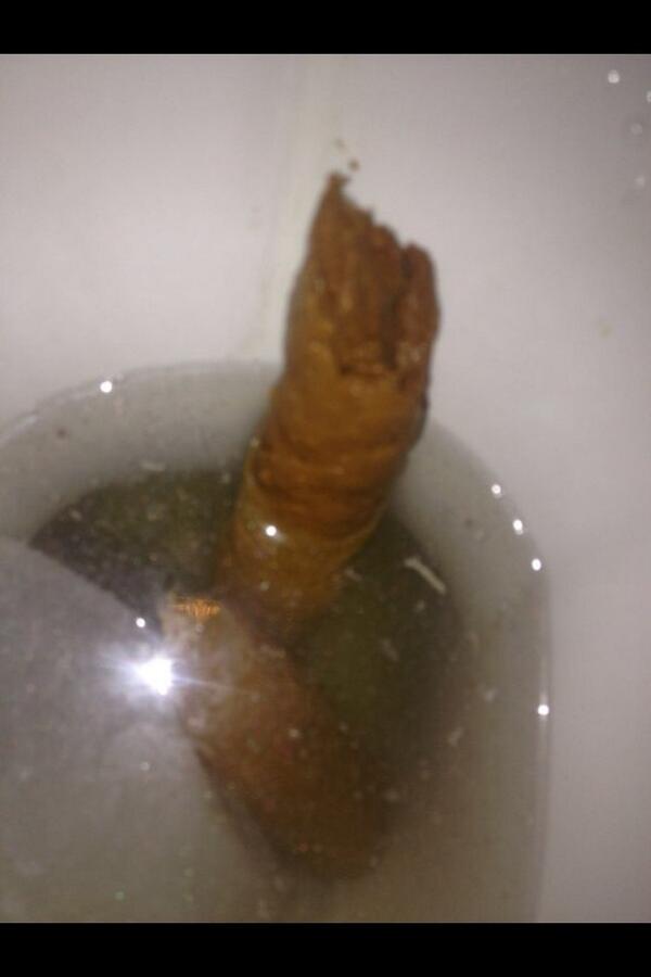 shitey_arse's tweet photo. Proud of this Teddy's leg #shit #shite #beershiteunited #scat #teddysleg http://t.co/9RiWqFJwrP