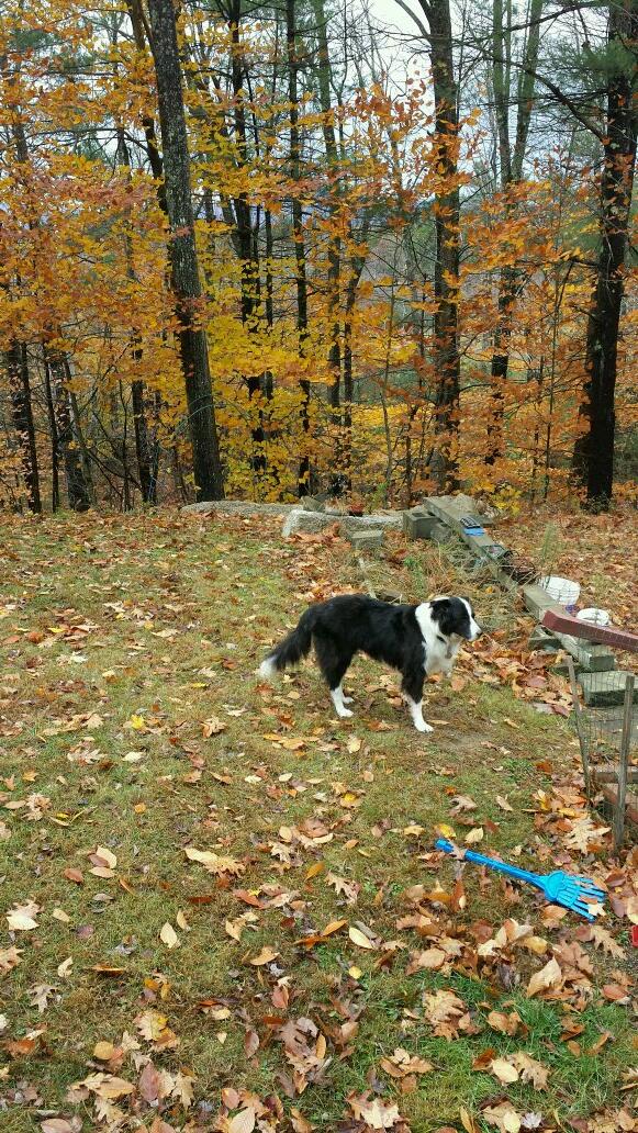 ScientistSound's tweet image. Happy 18th birthday gus. You are the man.