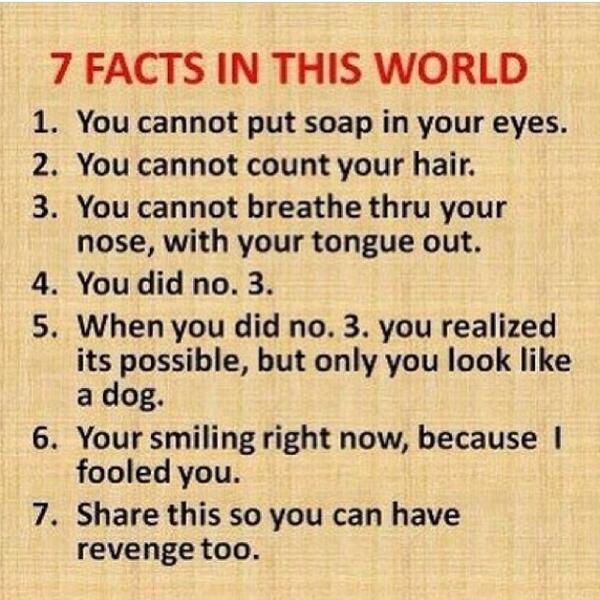 HilaryDuff's tweet image. I absolutely tried #3 before reading 4