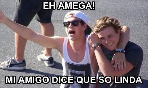 #SiOneDirectionfueradeArgentina Niall sería wachiturro.