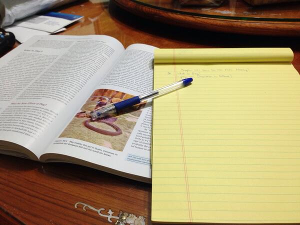 evakins94's tweet image. And my goal is to finish this chapter by tonight! #letsdothis #gome #focusplease