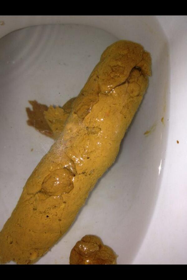 shitey_arse's tweet photo. It ain't Xmas yet.... But how about a Yuletide log to get us in the mood! 🎄🎅🎁💩 #shit #shit #scat #weloveshite http://t.co/mfwzuZ5jmp