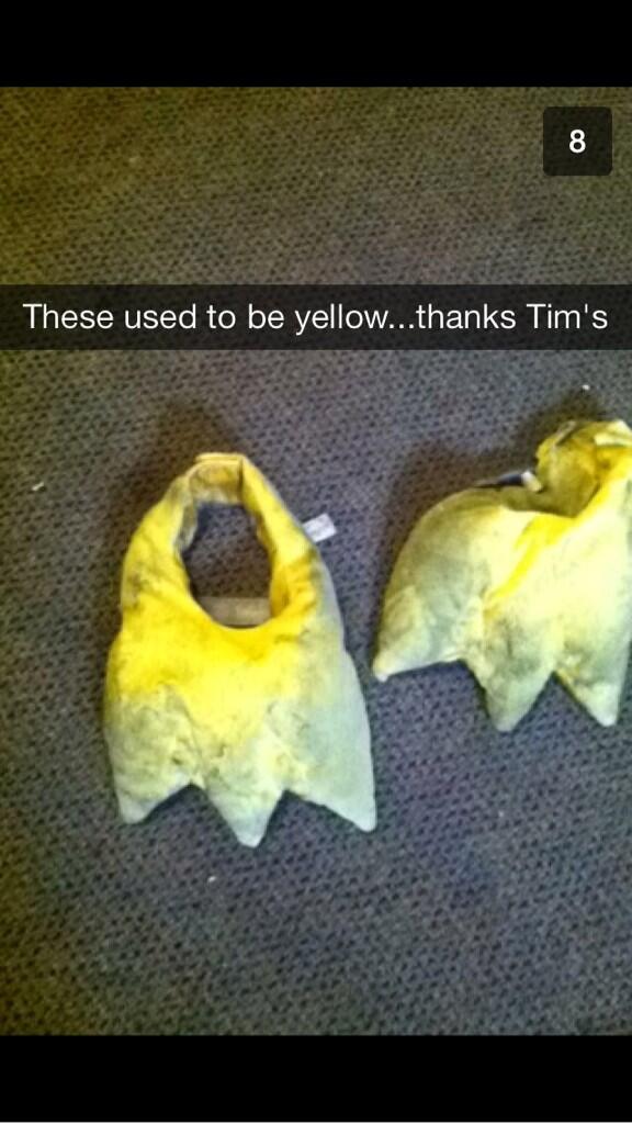 UDSnaps's tweet image. #timsproblems