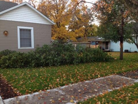 proflj's tweet image. Thankful for friends who step in without being asked to help.
#treegone #gutterscleaned #community