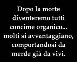 FQ_cattiveria's tweet photo. http://t.co/frjv7hVMGp