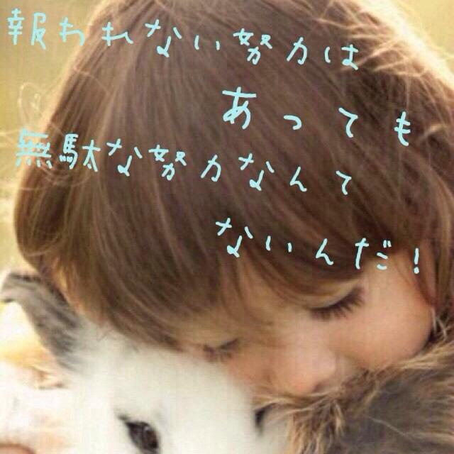 ポエム 報われない努力はあっても無駄な努力なんてないんだ Http T Co Bzldnq16kj ポエム 報われない努力はあっても無駄な努力なんてないんだ Http T Co Bzldnq16kj
