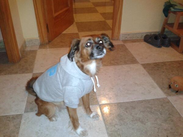 monicuri10's tweet photo. Mi sobrina es una raperilla jajaja @Fenec_Matos @Verunis http://t.co/XQB2bx7bau