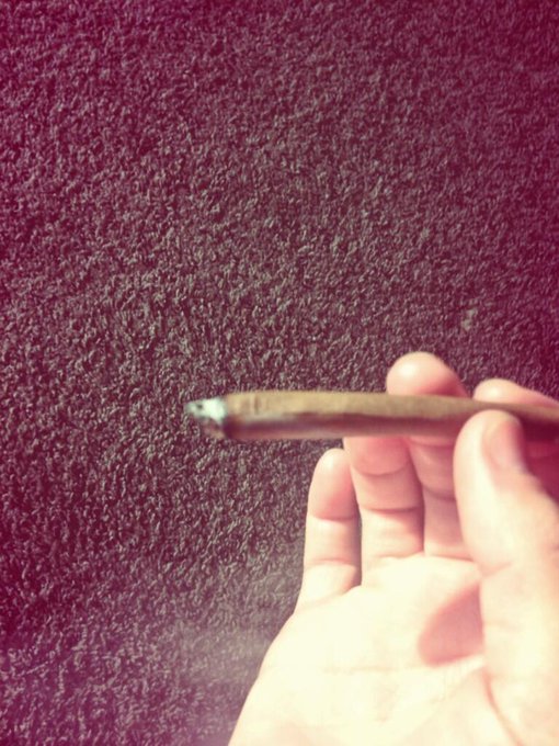 Bluntd http://t.co/SFjP3DPNjN<a href="/tag/rolldafuccup"class="tags"><span>#rolldafuccup</span></a>