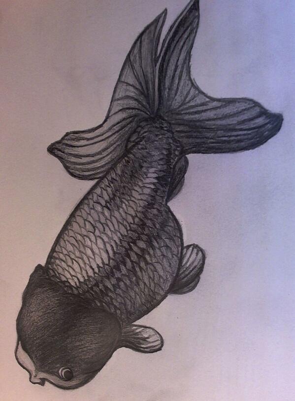 CompFishCare tweet picture