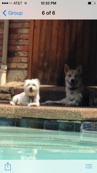 DBrett5's tweet photo. http://t.co/aI1iwp9cHQ