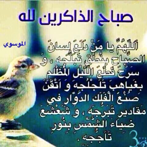 hooo2001's tweet photo. @sammr3 @BadryAlhammedy @spring_freedom @alasad3000 @hadeya2011 @Salmanzer @Faaty_Q8 @bintalmu7arq @KuToti http://t.co/swu5uCO25R
