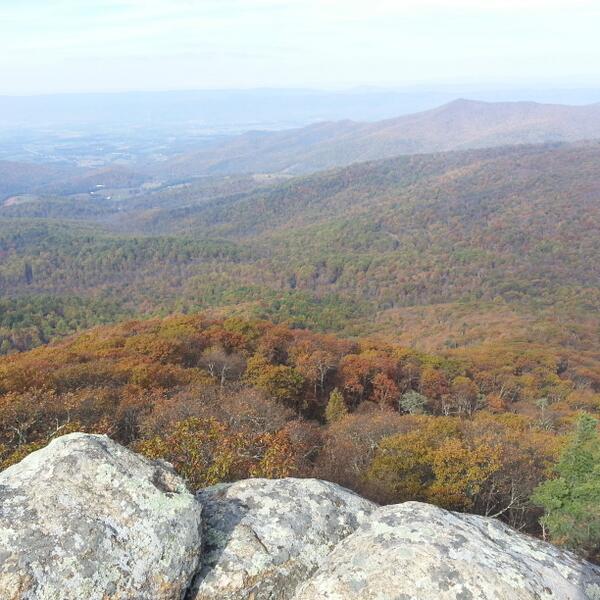 I don't want to die on the toilet or indoors, want to be outside when I go!