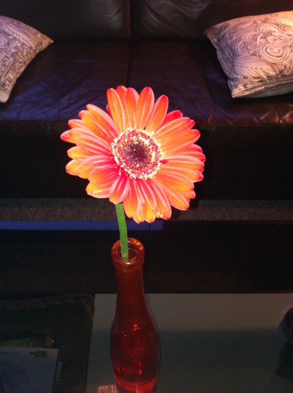 Marl1vdMeij's tweet image. Cadeautje gekregen voor het helpen bij de klimwand op de Beenprothese-Info-Demo-Doe dag, super ervaring! #BIDD