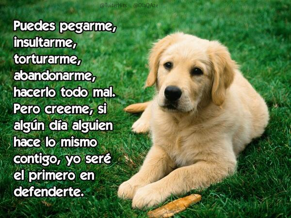 MejoresTwits's tweet photo. Respétalos. http://t.co/W2QPrehdHZ