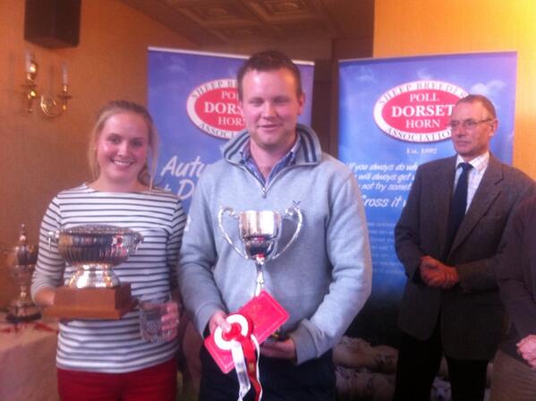 kennixtonsheep's tweet photo. @RossizFlock CONGRATULATIONS! #Winning #PollDorsetSheep http://t.co/VLq2tyLbw7