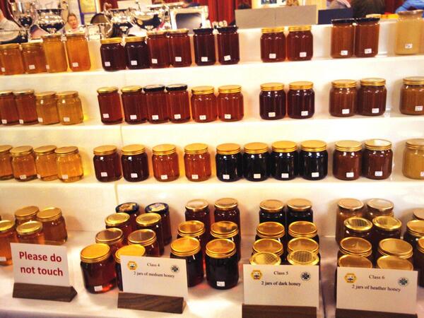 beezingahive's tweet photo. Beezinga at the Dublin beekeepers meeting and competition. #sweet http://t.co/vhN5Kb7Mzt