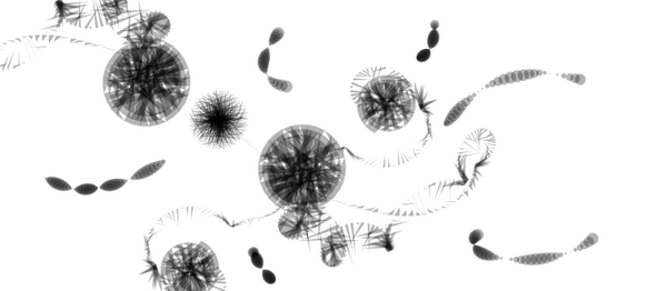 AliveDraw tweet picture