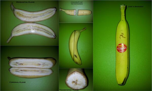 Andrea Stoop-Berends tweet media