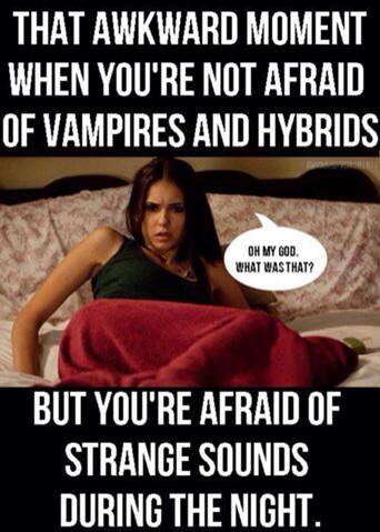 Funny TVD (@FunnyTVDMoments) / Twitter Funny TVD (@FunnyTVDMoments) / Twitter