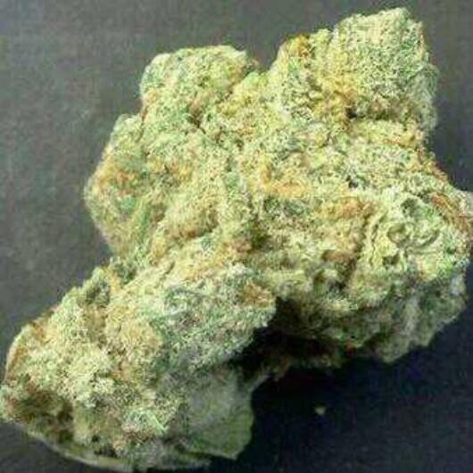 #ThisNugs4U ~Island•Haze~ <a href="/Romarley/">Rohan Marley</a> <a href="/420YNOT/">420YNOT.com ™</a> @Magnetosfeer @Msbobbie420 @BobNatural1 @BokingSmoles <a href="/PeaceWTF/">🍁🍃</a> <a href="/OilHash/">I smoke my earwax</a>