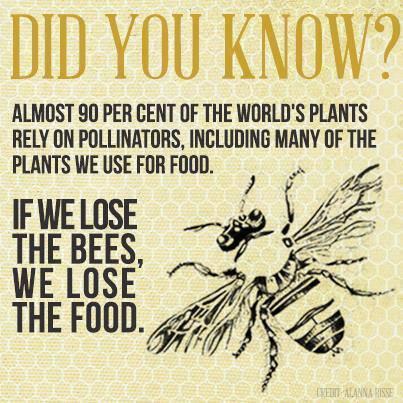 How human life depends on one little insect. endecocide.eu