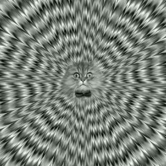 صور +خواطر +برامج  (@mm_ww6) on Twitter photo 