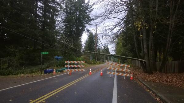 PSETalk's tweet photo. Watch out for this.  Trees are crashing down onto power lines.  This is on 244th on Sammamish Plateau. http://t.co/Xh4HorfwKR