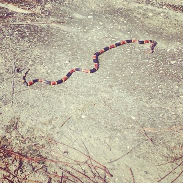 Dangerous to play par 3 course alone