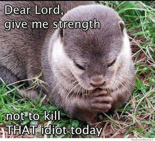 Dailyinstafun's tweet photo. Desr Lord, give me strength.. #Funny #Rotfl #Instadaily #Instafunny #Like #Follow #Lgdaily #Instalike #Joke http://t.co/IQTHyrjhew