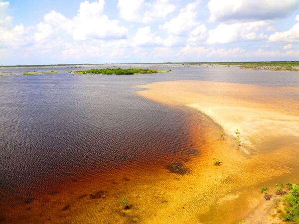 RamonBeytia's tweet photo. Una mirada a la Laguna Xtakun en @PuntaSurPark http://t.co/AvrRwvV9qA
