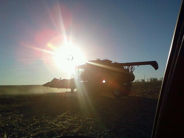 kendrajoyous's tweet photo. Out combining with my dad! http://t.co/lwzoLqMQRT