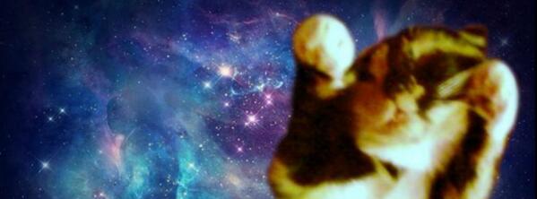 EmmaSWS's tweet image. My Cat Fluffy &amp;lt;3 c':