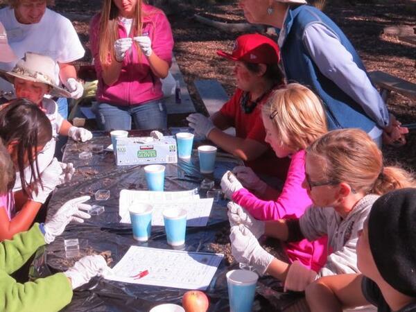 NatureTrackers's tweet image. Focus table after day of #hiking. #FlowLearning