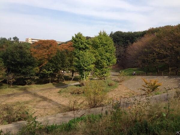 ao_yu's tweet photo. 近所の公園なう〜♪ http://t.co/57U2p66MX3