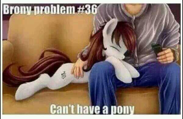 PonieandShit's tweet photo. #poniesoftheday http://t.co/X423HF8oi4