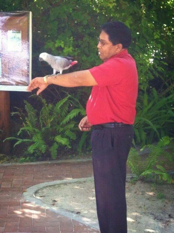 riyattey's tweet photo. Thank for the lauraa African grey http://t.co/9X7ETIc12F