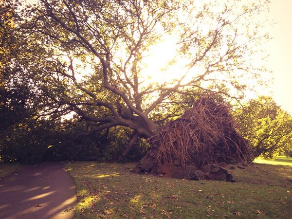 fair_fish's tweet image. You poor sap #windproblems