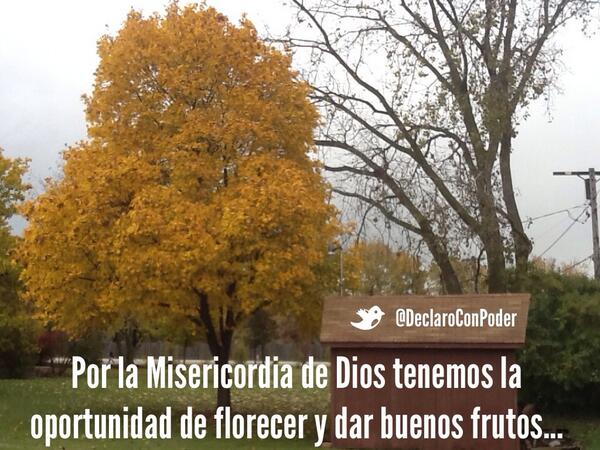DeclaroConPoder tweet picture