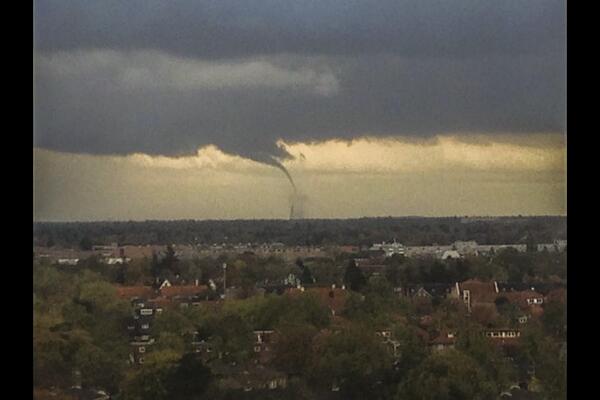 View image on Twitter