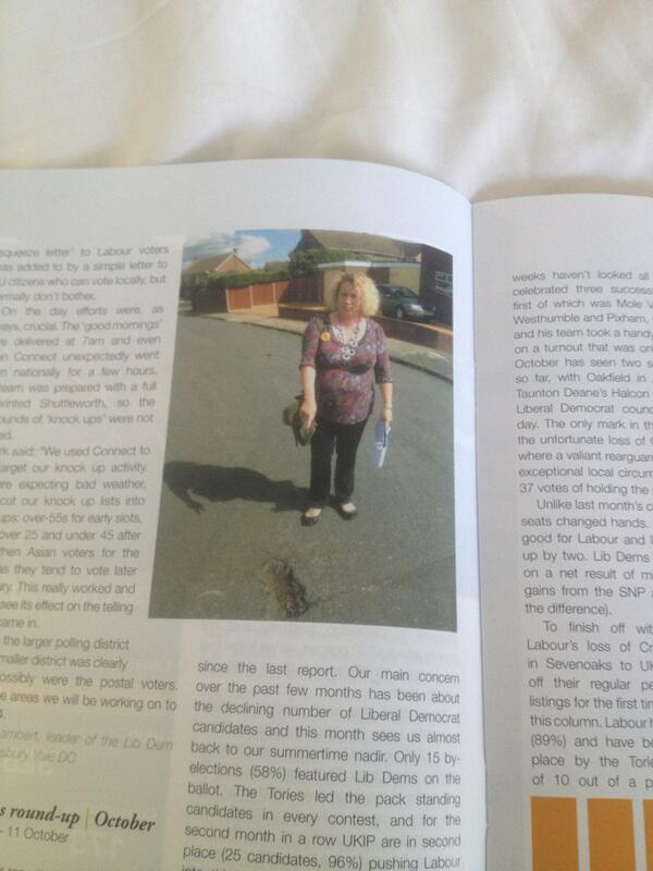 richardmorrisuk's tweet image. Just catching up on @AdLibMag and see there's a classic #libdemspointing on page 10. A welcome return