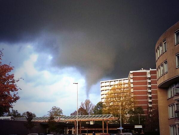 View image on Twitter