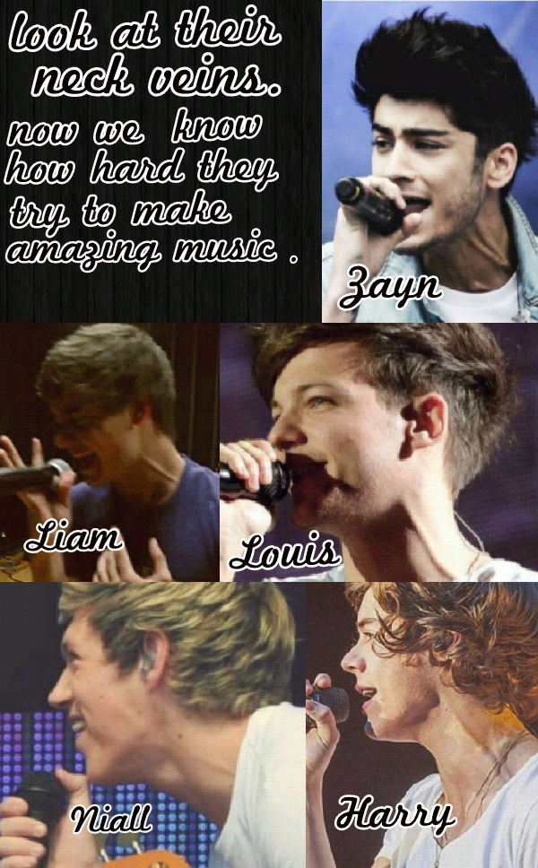 mizzdirection12 tweet picture