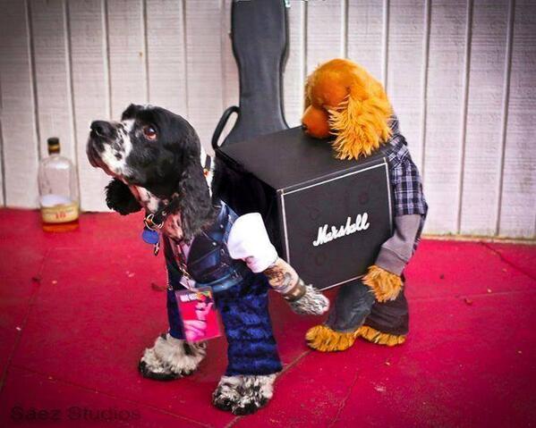 ebyron on twitter best dog costume ever rodiedog iatse