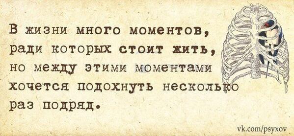 ради чего жить. стоило жить. знаешь кот. знайте цену жизни. стоило жить.