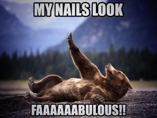 agrumpyfish's tweet image. 