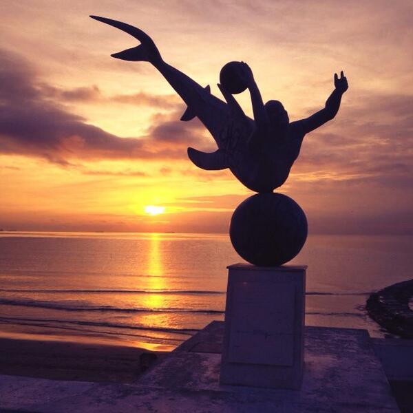 yafmveracruz tweet picture